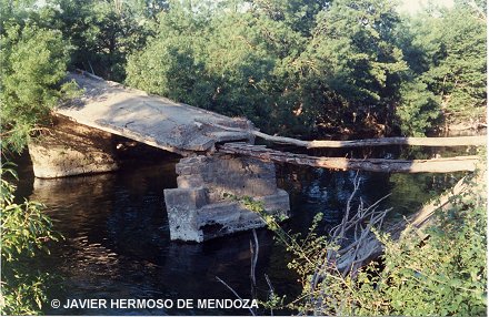 Puente del Molino Navarro.